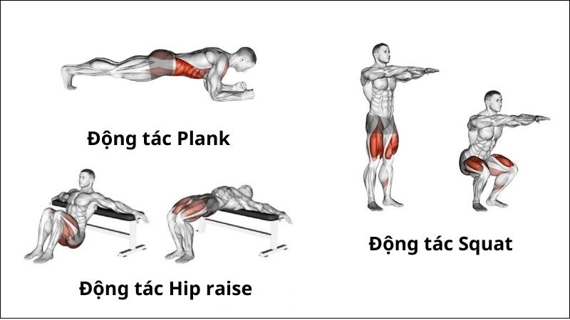 Một số bài tập cải thiện rối loạn cương dương