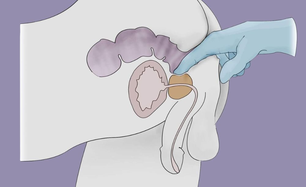 Vị trí điểm G nam giới