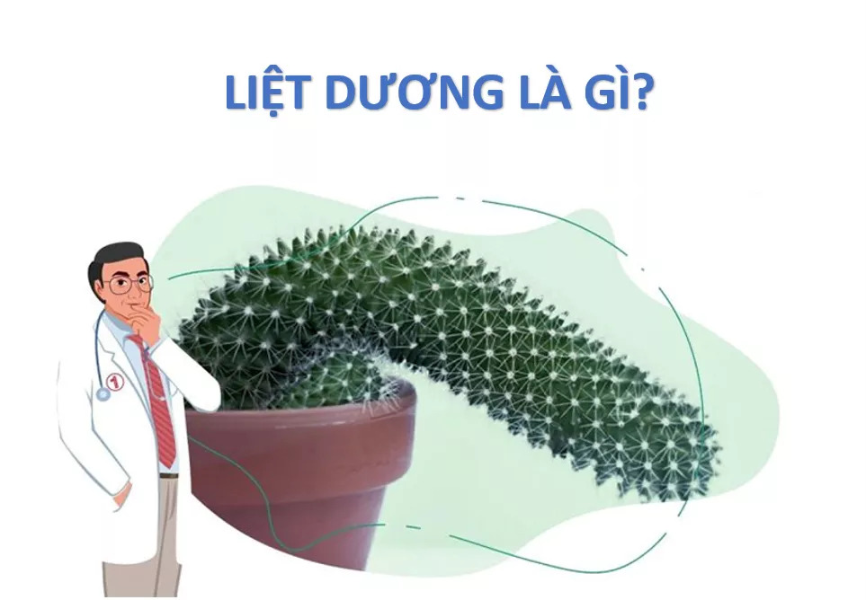 Liệt dương là tình trạng nam giới khó đạt trạng thái cương cứng 
