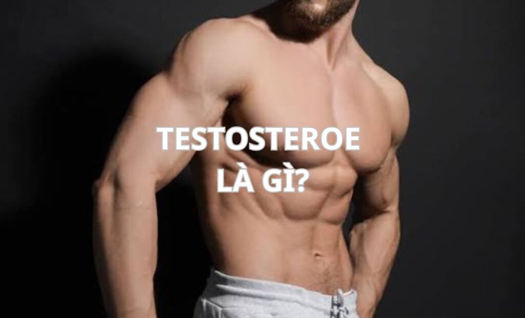 Testosterone là gì? Vai trò và cách tăng cường tự nhiên