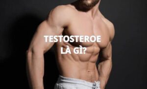 Testosterone là gì? Vai trò và cách tăng cường tự nhiên