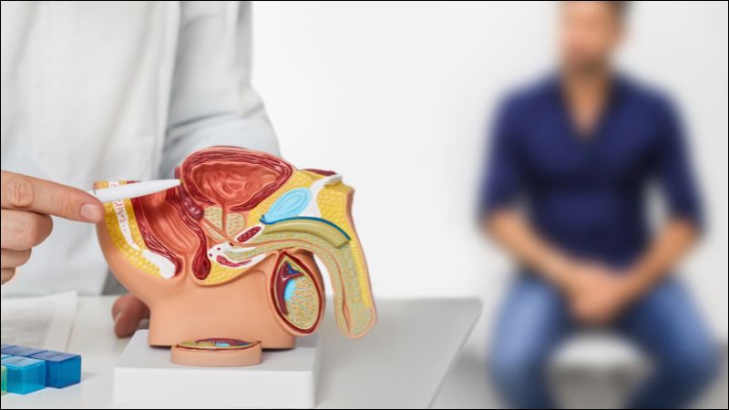 Một số yếu tố làm tăng nguy cơ xoắn tinh hoàn